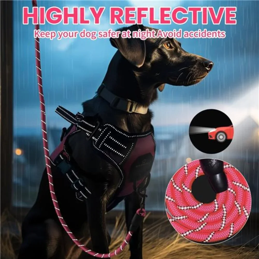 Dog Harness Leash Set, No Pull Vest Harness, Reflective Adjustable for Small Dog